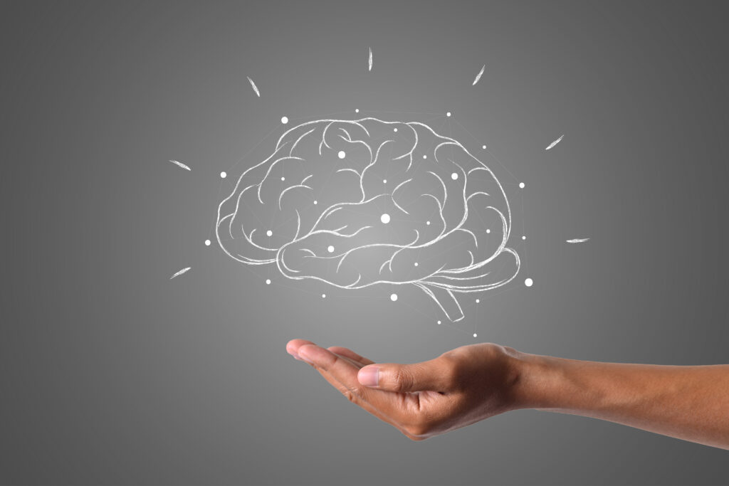 cerveau dessiné au crayon